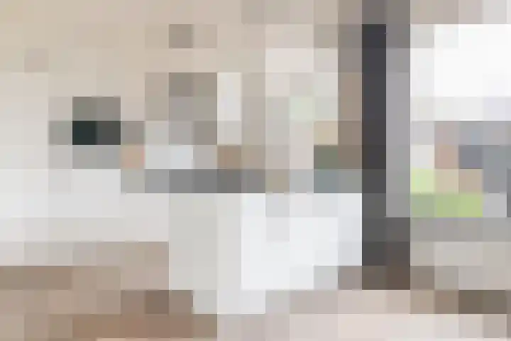 Krooshofstraat 69 Zijderveld thumbnail 8