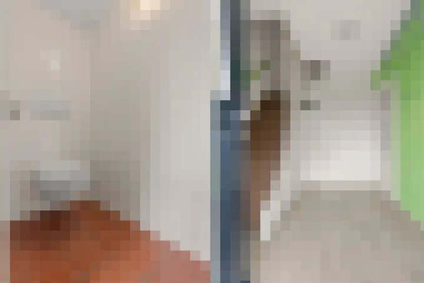Krooshofstraat 81 Zijderveld thumbnail 12
