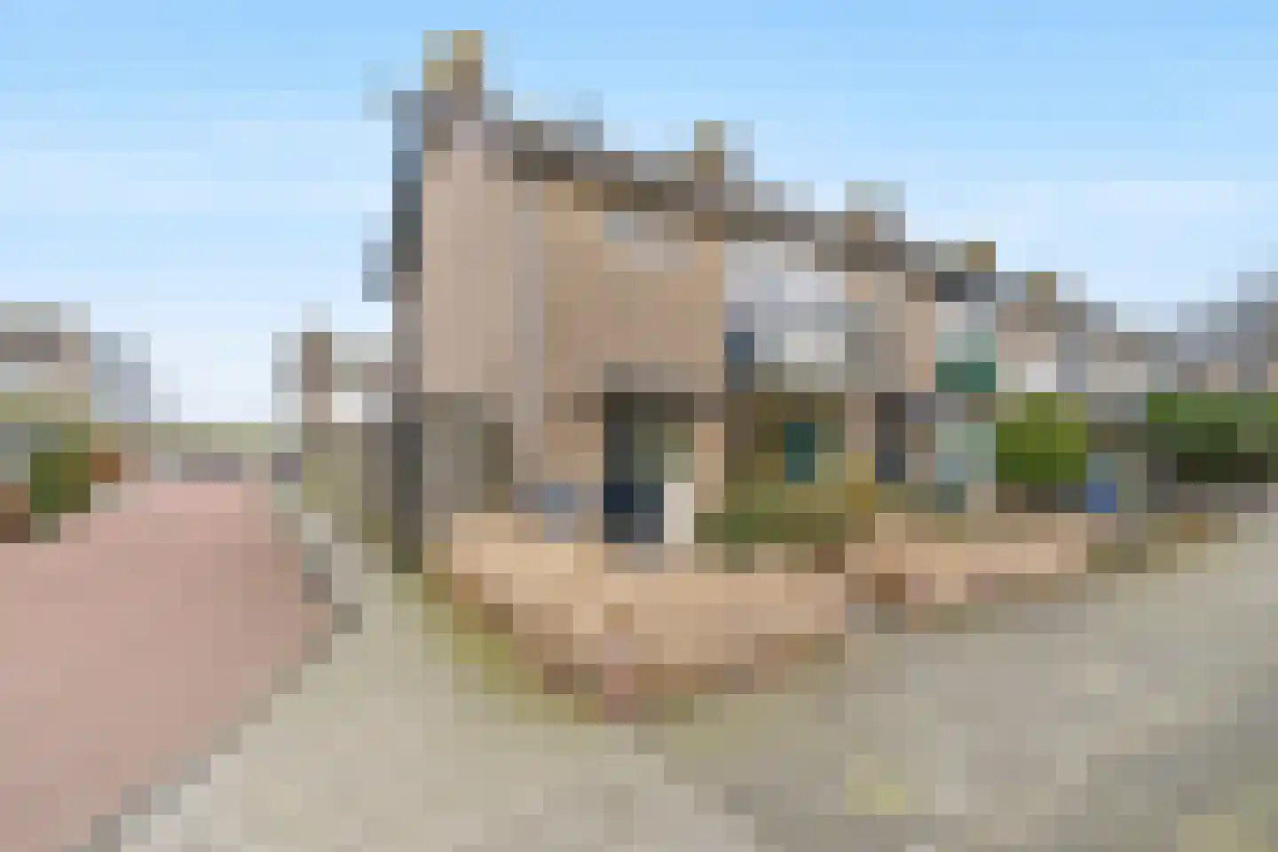 Krooshofstraat 81 Zijderveld thumbnail 30