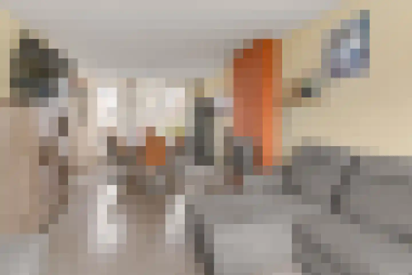 Krooshofstraat 81 Zijderveld thumbnail 5