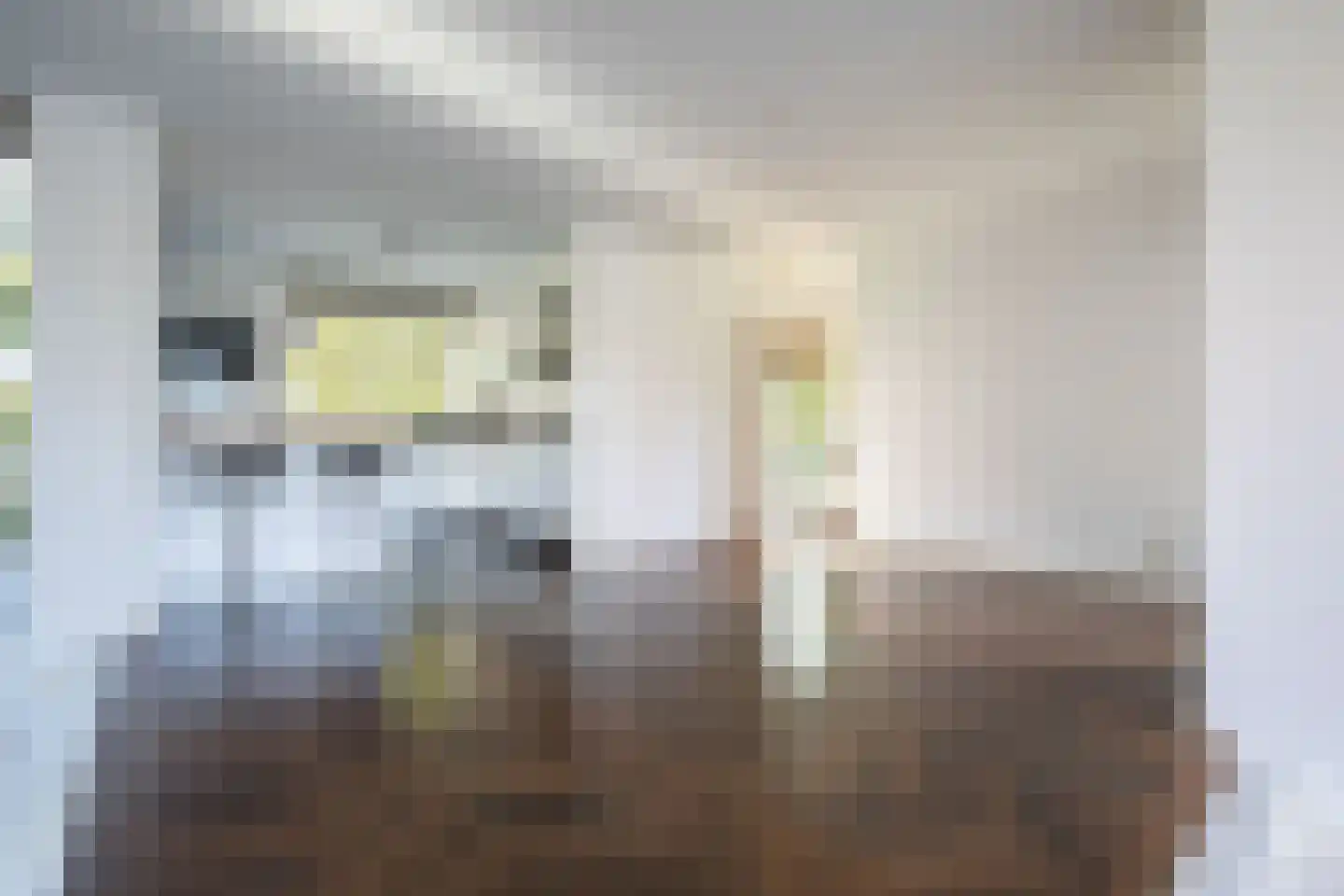 Kroosjespruimstraat 11 Aalsmeer thumbnail 13