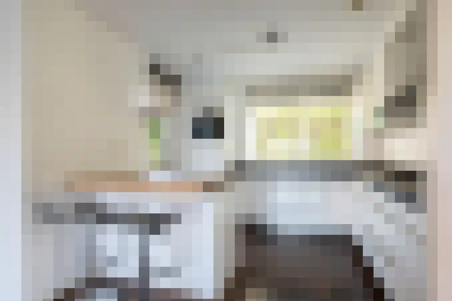Kroosjespruimstraat 11 Aalsmeer thumbnail 15