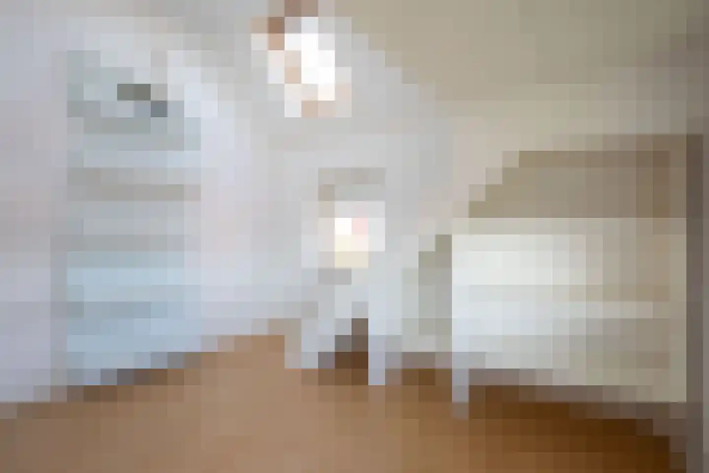 Kroosjespruimstraat 11 Aalsmeer thumbnail 31