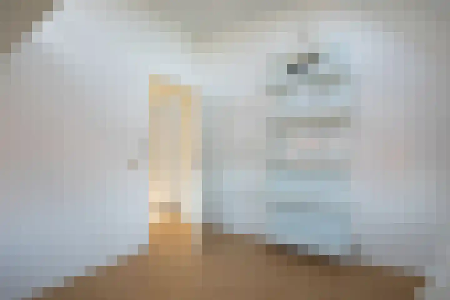 Kroosjespruimstraat 11 Aalsmeer thumbnail 33