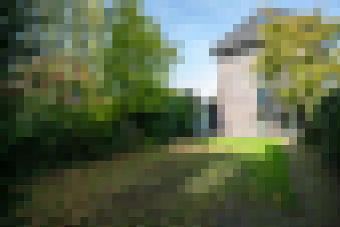 Kroosjespruimstraat 11 Aalsmeer thumbnail 38