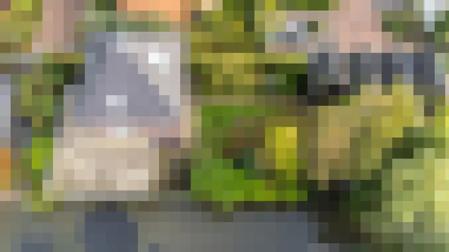 Kroosjespruimstraat 11 Aalsmeer thumbnail 42