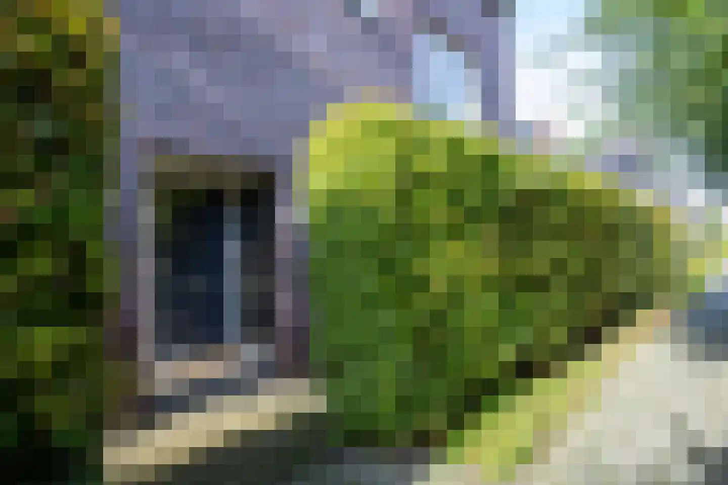 Kroosjespruimstraat 11 Aalsmeer thumbnail 6