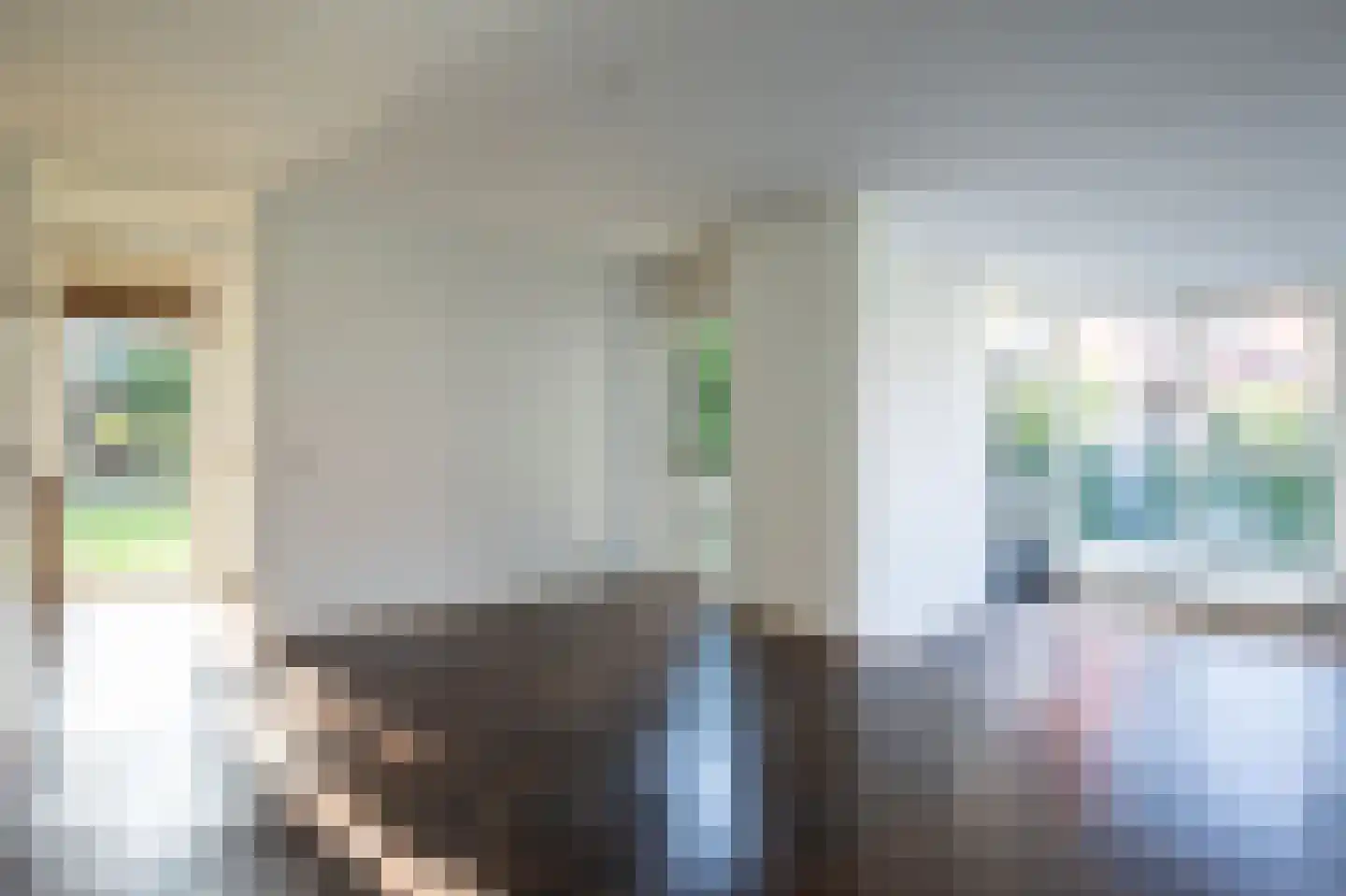 Kroosjespruimstraat 11 Aalsmeer thumbnail 9