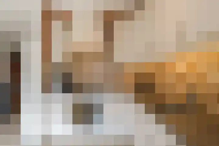Krooslaan 11 Bodegraven thumbnail 19