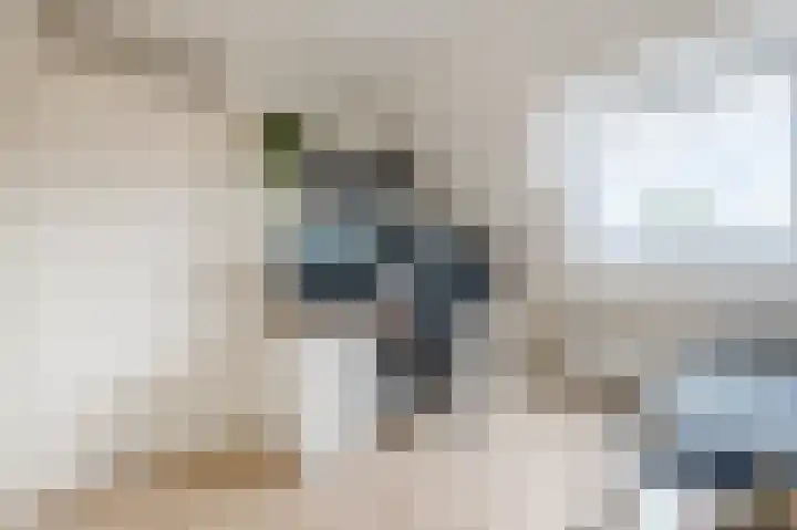 Krooslaan 11 Bodegraven thumbnail 28