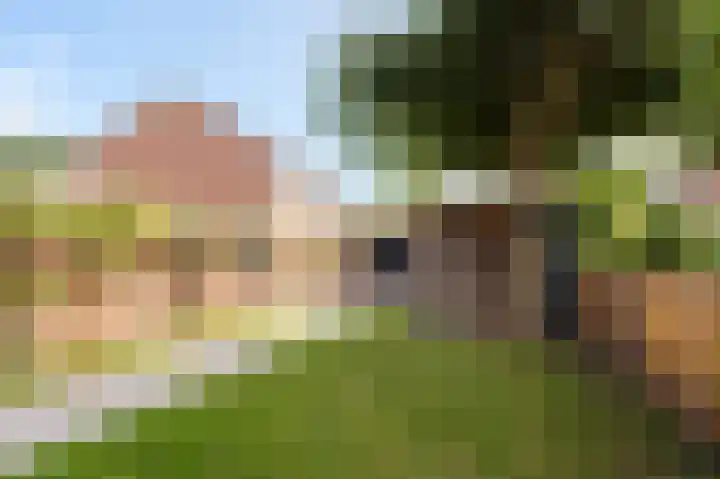 Krooslaan 11 Bodegraven thumbnail 44