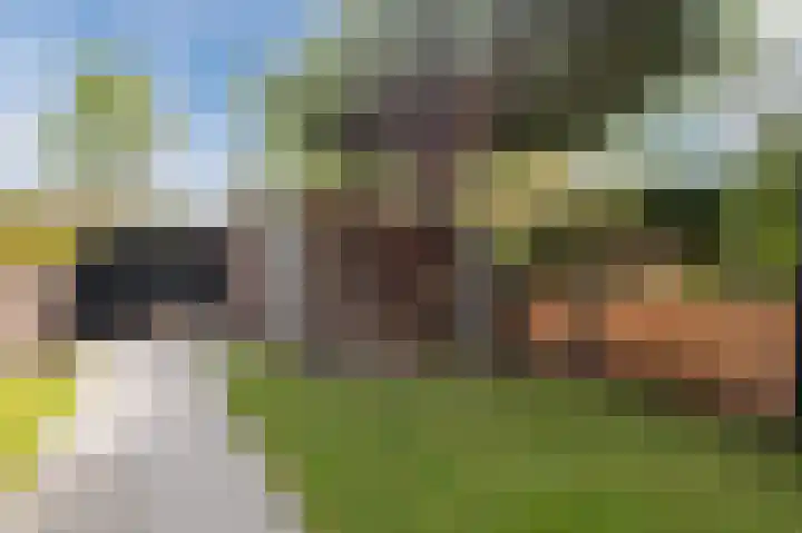 Krooslaan 11 Bodegraven thumbnail 45