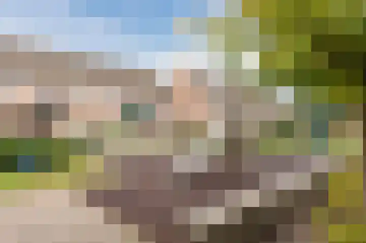 Krooslaan 11 Bodegraven thumbnail 49