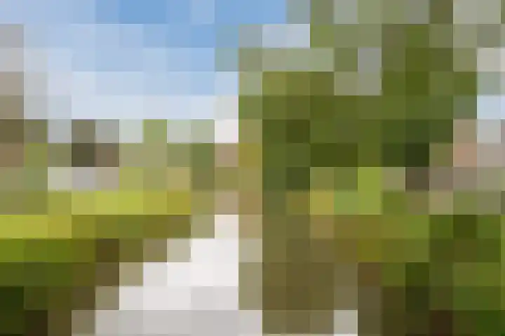 Krooslaan 11 Bodegraven thumbnail 50