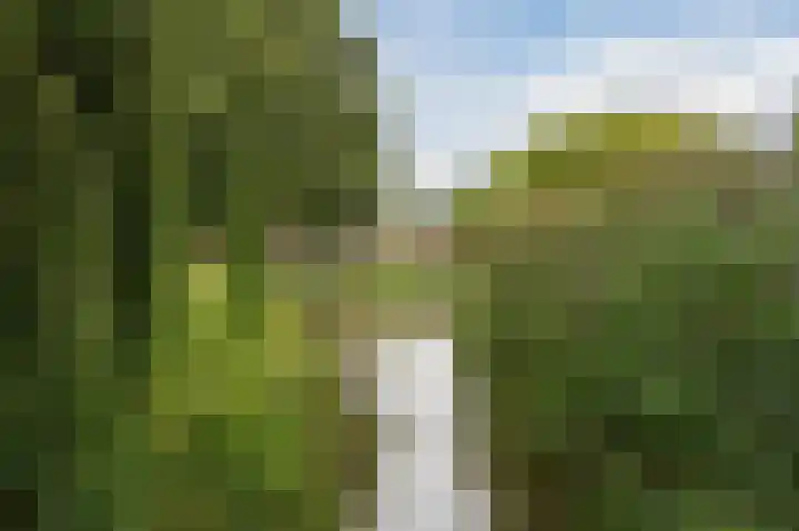 Krooslaan 11 Bodegraven thumbnail 51