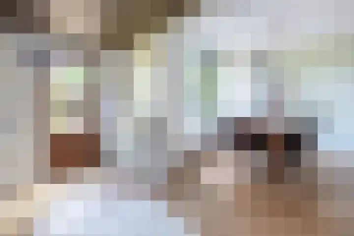 Kroosmeent 15 Hilversum thumbnail 15