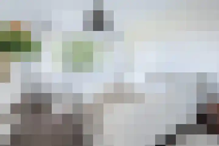 Kroosmeent 15 Hilversum thumbnail 19