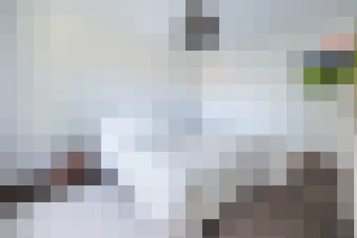 Kroosmeent 15 Hilversum thumbnail 20