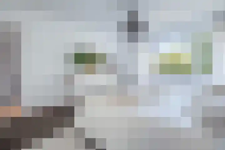 Kroosmeent 15 Hilversum thumbnail 21