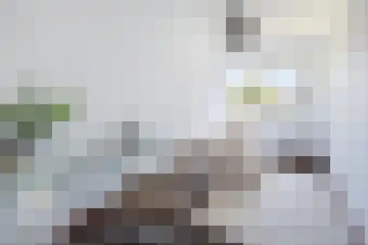 Kroosmeent 15 Hilversum thumbnail 22