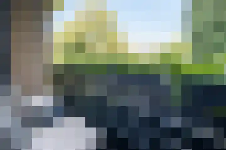 Kroosmeent 15 Hilversum thumbnail 26