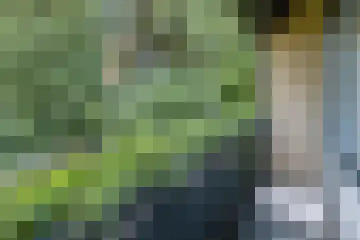 Kroosmeent 15 Hilversum thumbnail 27