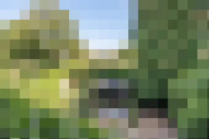 Kroosmeent 15 Hilversum thumbnail 28