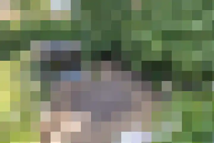 Kroosmeent 15 Hilversum thumbnail 29