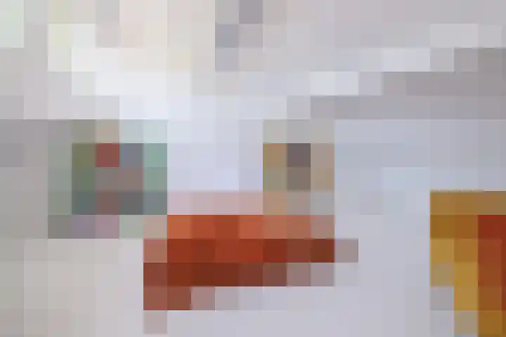 Kroosmeent 15 Hilversum thumbnail 34