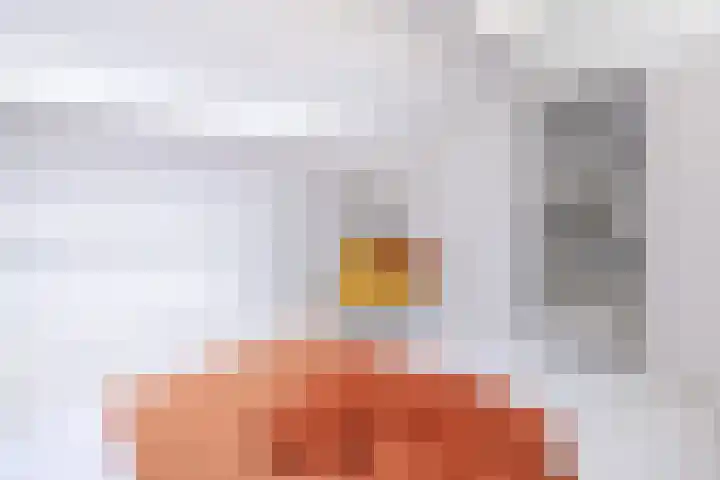 Kroosmeent 15 Hilversum thumbnail 35