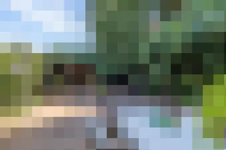 Kroosmeent 15 Hilversum thumbnail 39