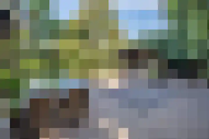Kroosmeent 15 Hilversum thumbnail 40