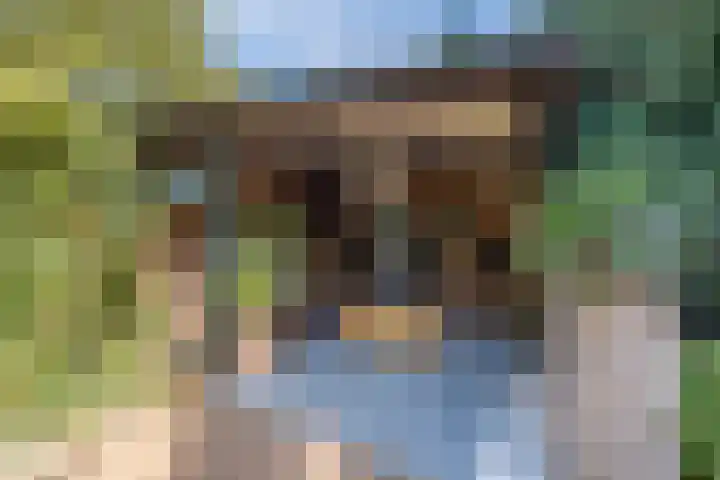 Kroosmeent 15 Hilversum thumbnail 43