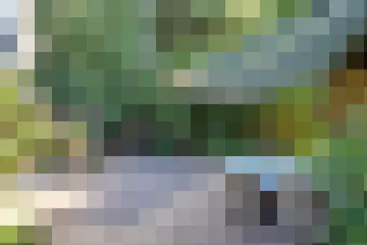Kroosmeent 15 Hilversum thumbnail 45