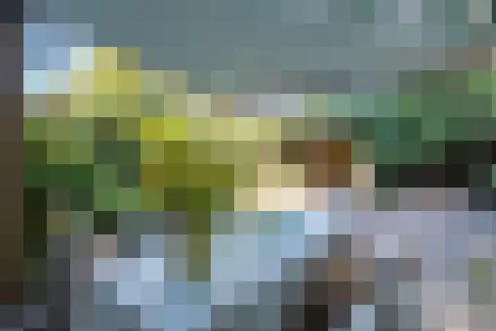 Kroosmeent 15 Hilversum thumbnail 46