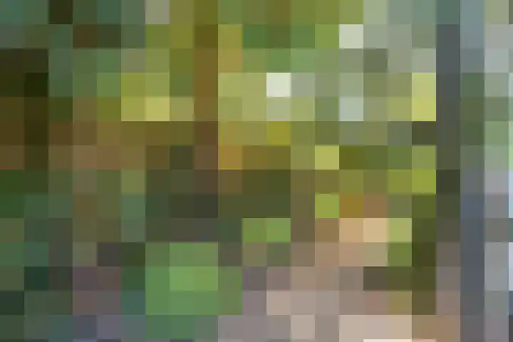 Kroosmeent 15 Hilversum thumbnail 47