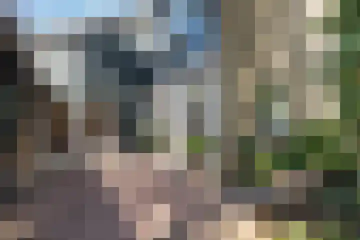 Kroosmeent 15 Hilversum thumbnail 48