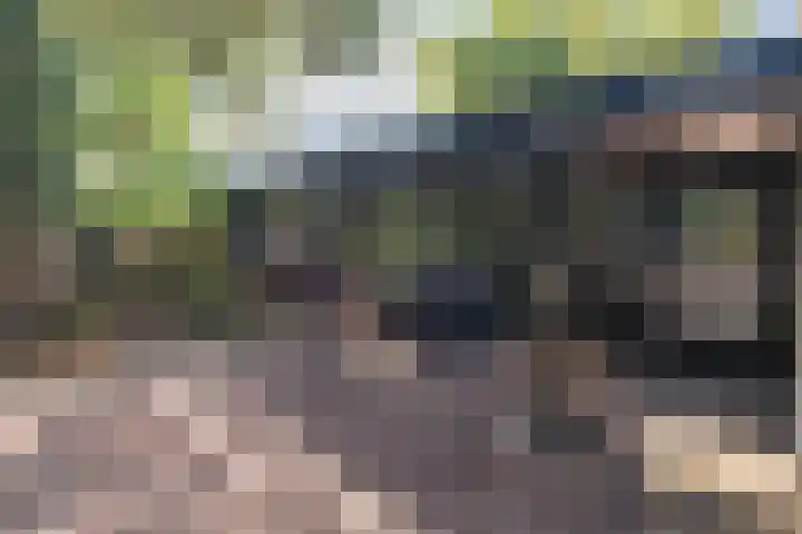 Kroosmeent 15 Hilversum thumbnail 49