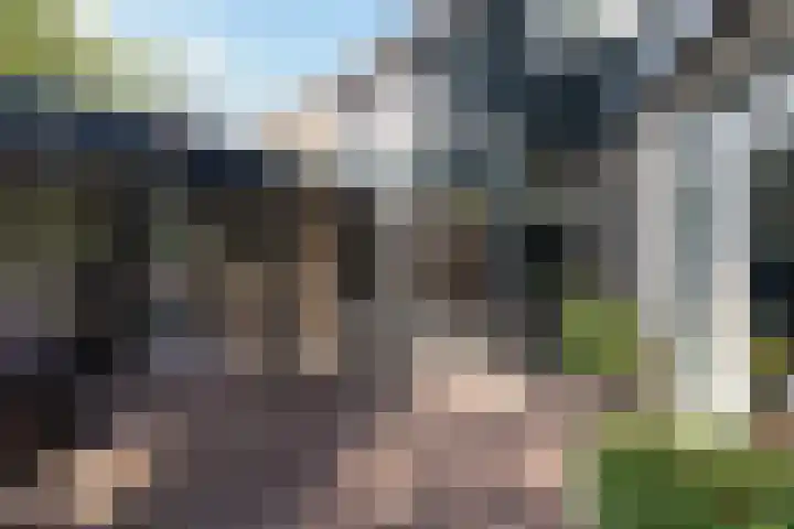 Kroosmeent 15 Hilversum thumbnail 52
