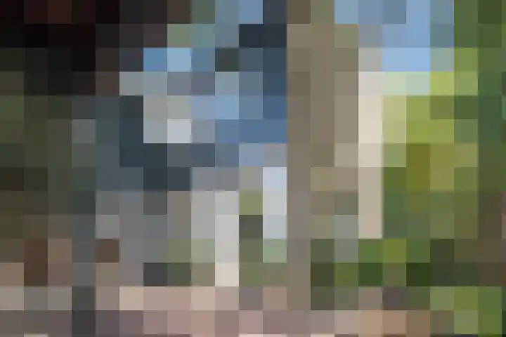 Kroosmeent 15 Hilversum thumbnail 54