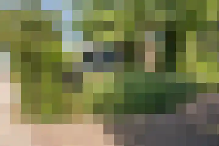 Kroosmeent 15 Hilversum thumbnail 55