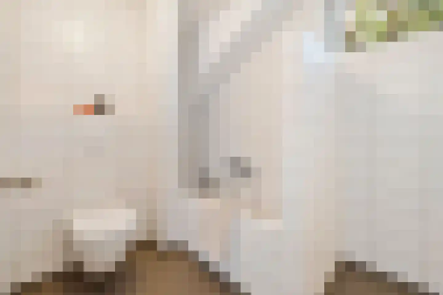 Kroosmeent 17 Hilversum thumbnail 31