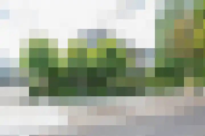 Kroostweg 59 Zeist thumbnail 19