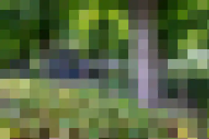 Kroostweg 59 Zeist thumbnail 20