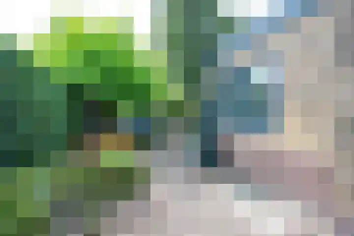 Kroostweg 59 Zeist thumbnail 22