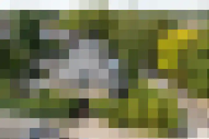 Kroostweg 59 Zeist thumbnail 46