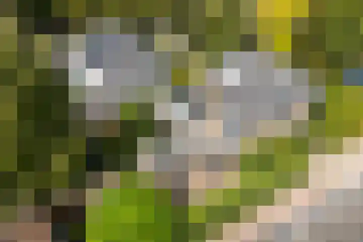 Kroostweg 59 Zeist thumbnail 47