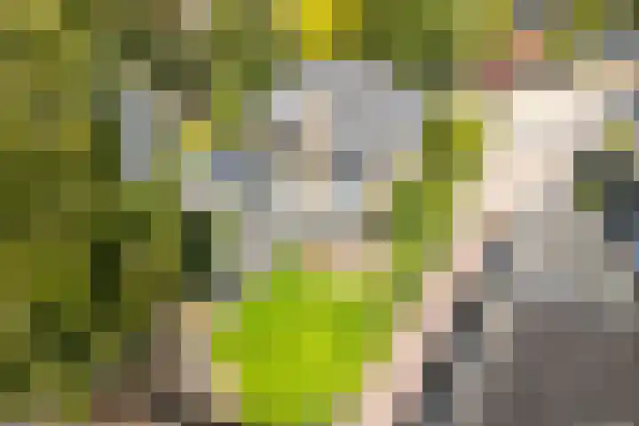 Kroostweg 59 Zeist thumbnail 48