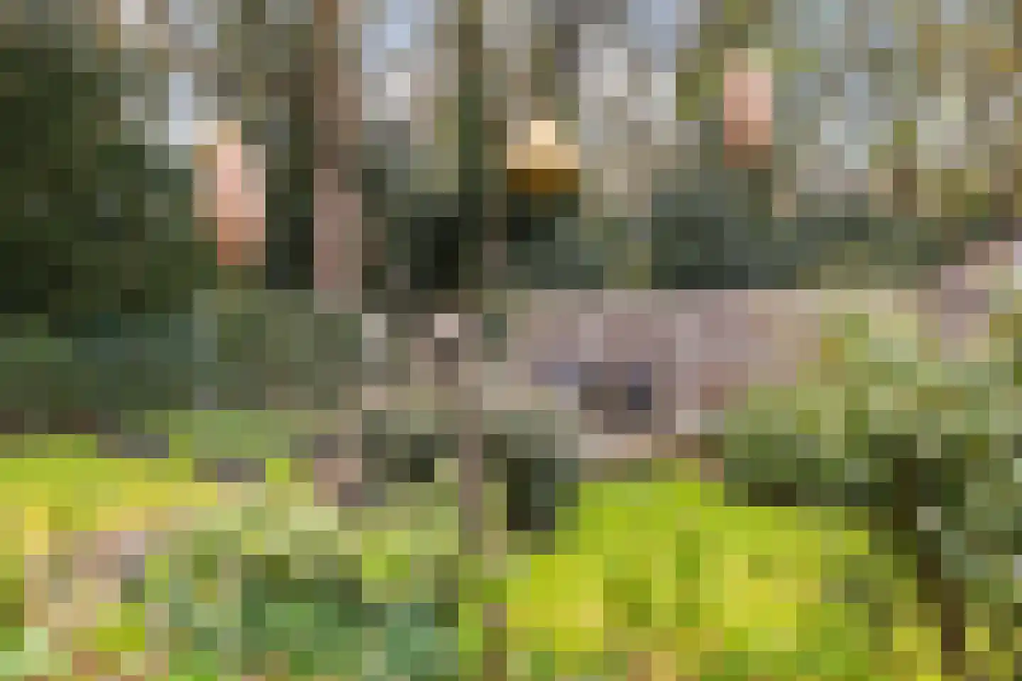 Kroostweg-Noord 177 De Bilt thumbnail 25
