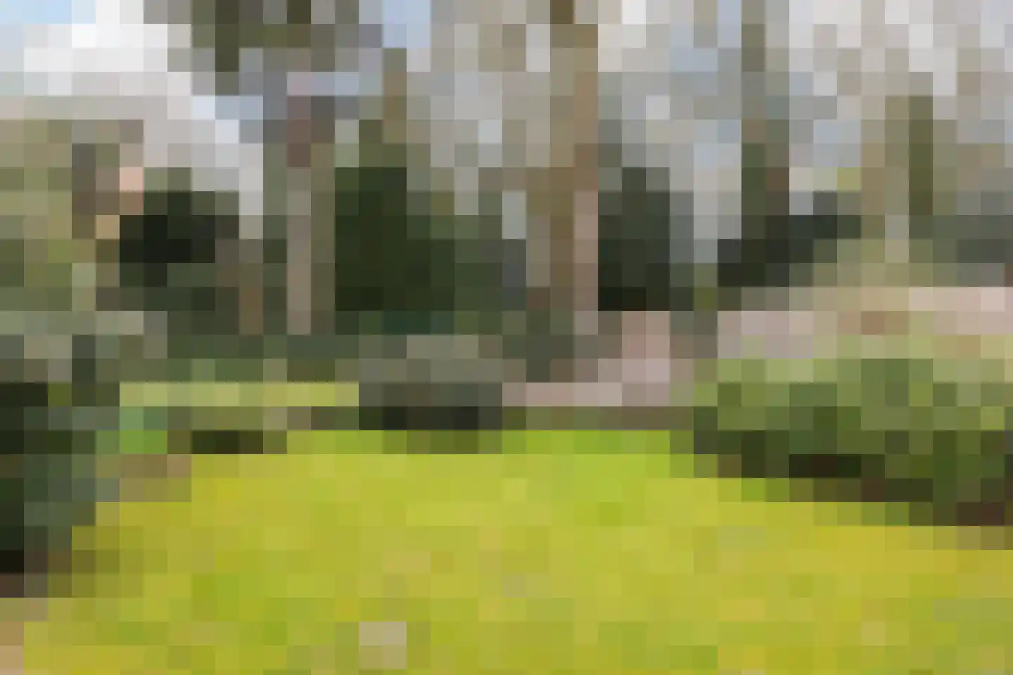 Kroostweg-Noord 177 De Bilt thumbnail 26